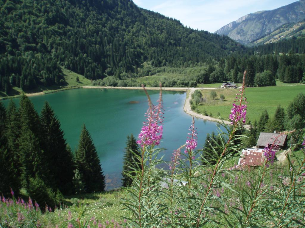 Le Clos Des Fontaines, A 5 Mn Du Lac Thonon-les-Bains Dış mekan fotoğraf