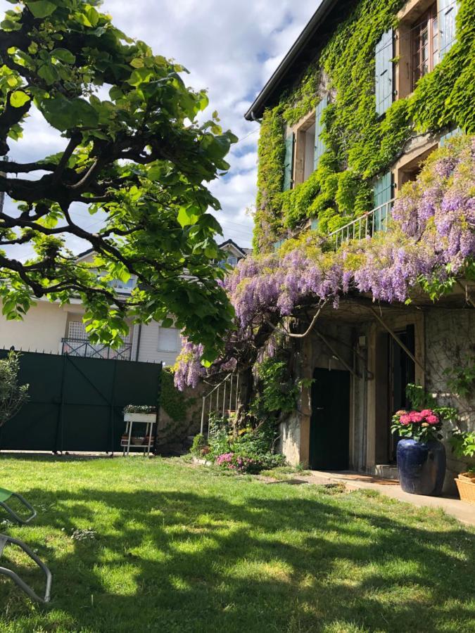Le Clos Des Fontaines, A 5 Mn Du Lac Thonon-les-Bains Dış mekan fotoğraf